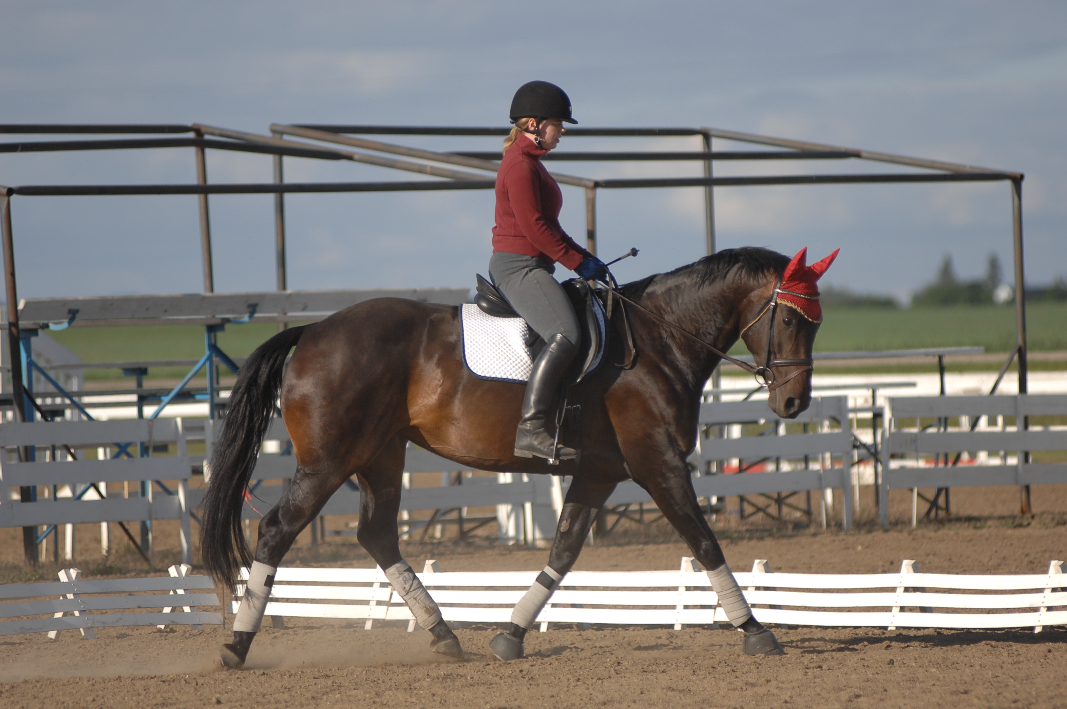 Saskatoon Dressage Club